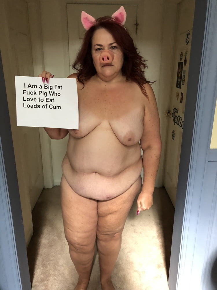 large fat sows to display #104471882