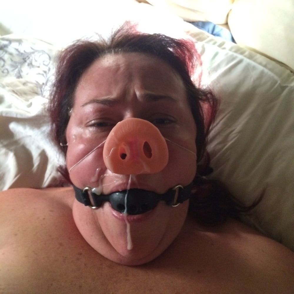 large fat sows to display #104471899