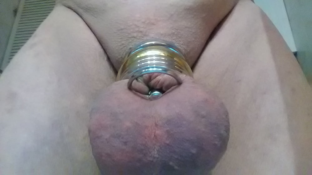 Nuevos anillos 2
 #92138943