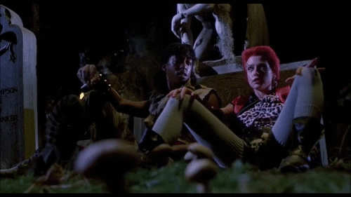 The GIFs that keep on GIFfing #91668005