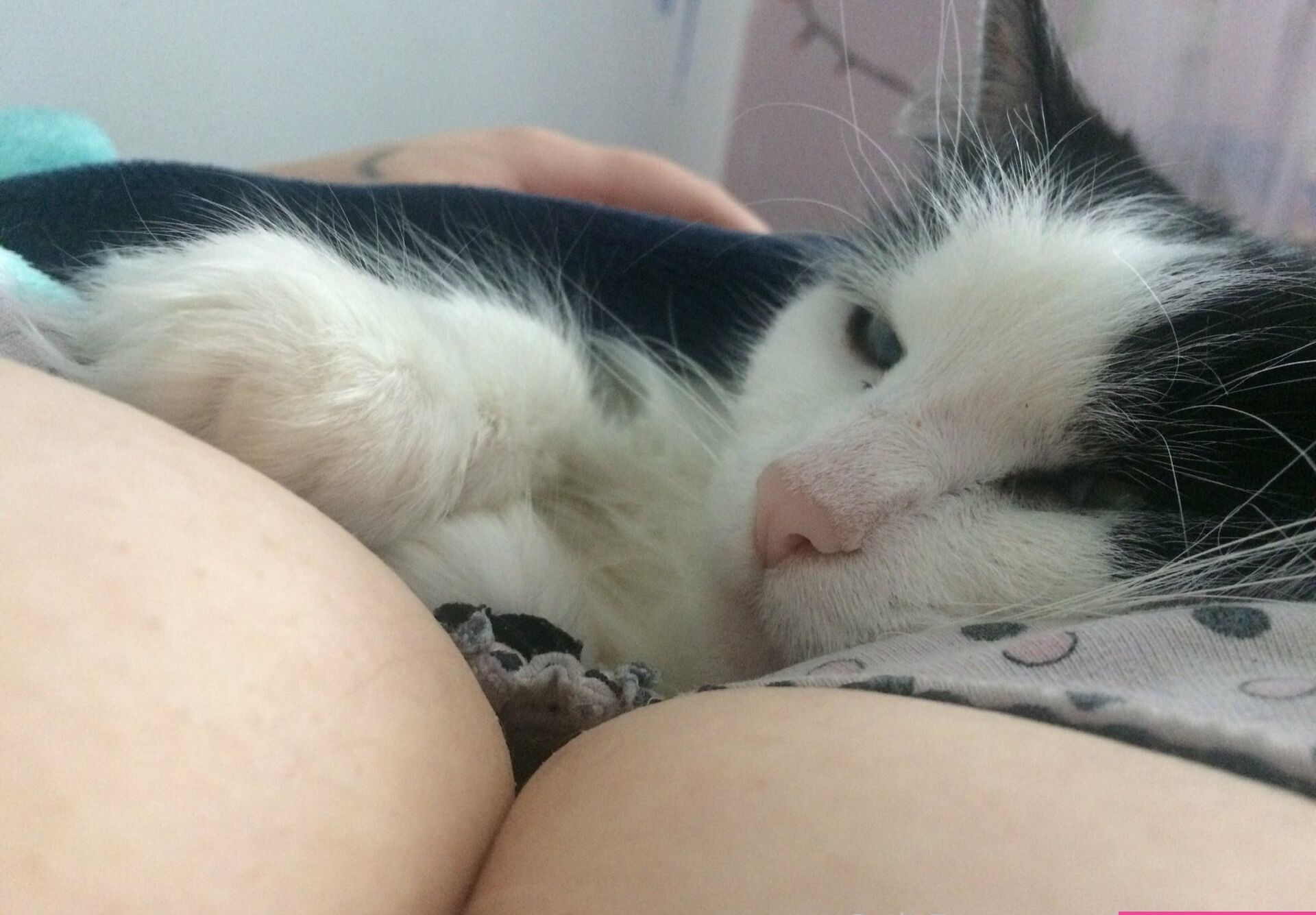 KatTheKunt desnuda #109452664