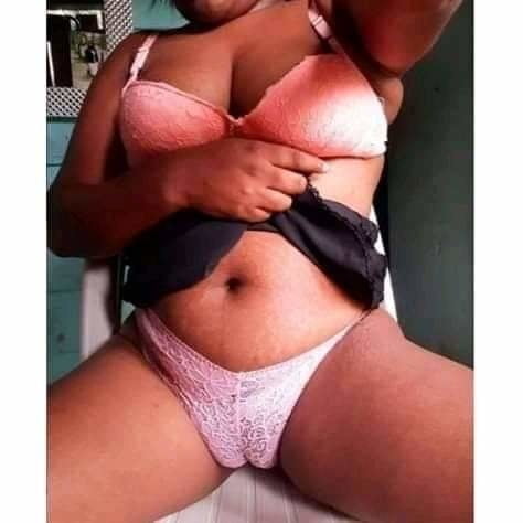 Dulces cameltoes
 #91462526