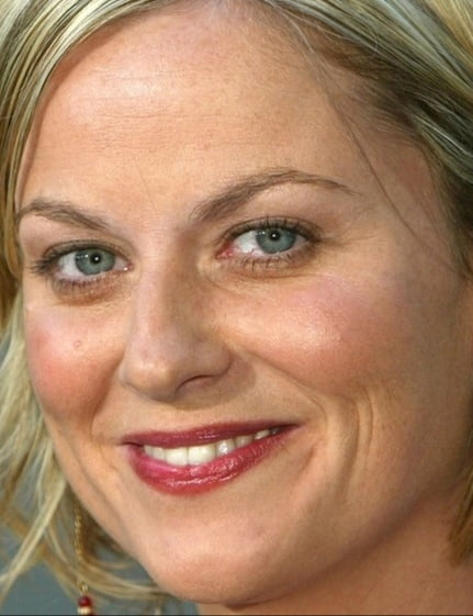 AMY POEHLER #92539113