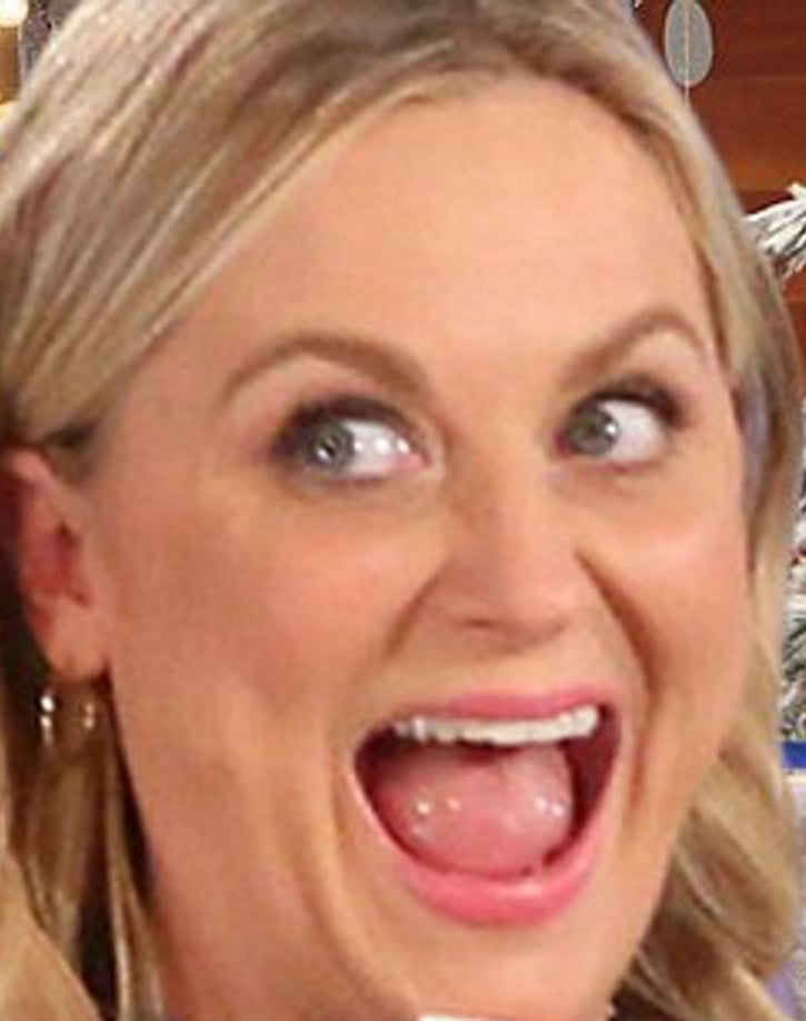 AMY POEHLER #92539119