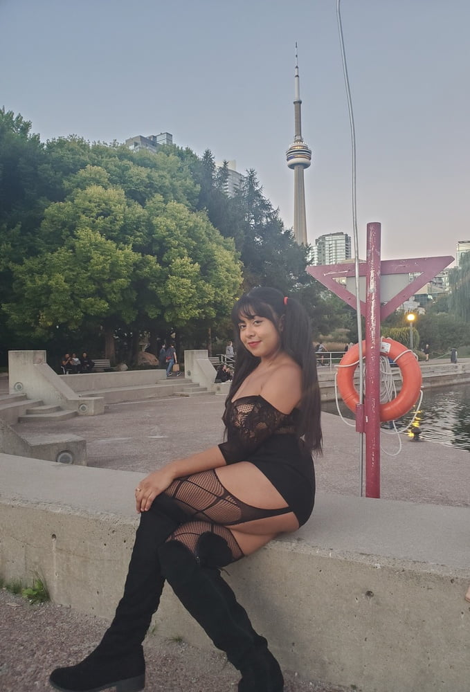 最近の写真
 #106621452