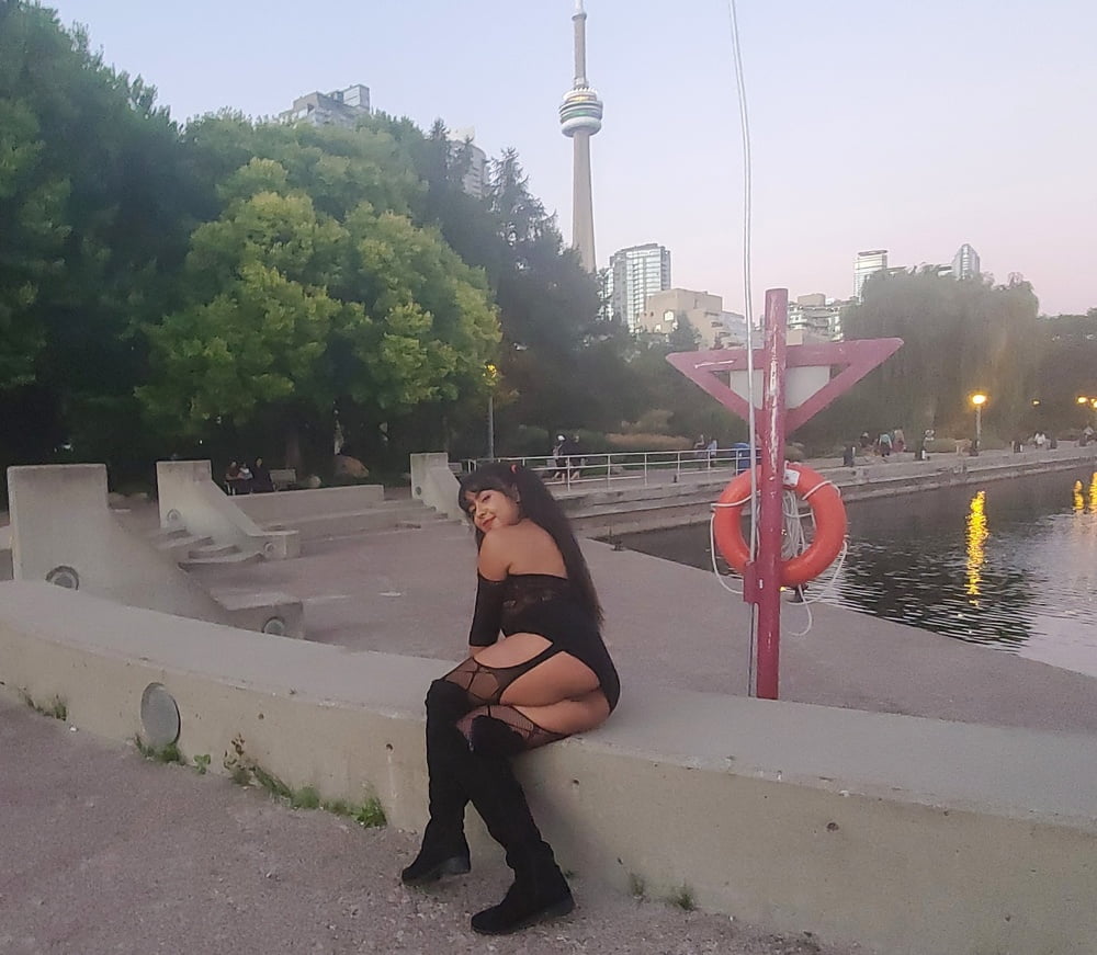 最近の写真
 #106621454