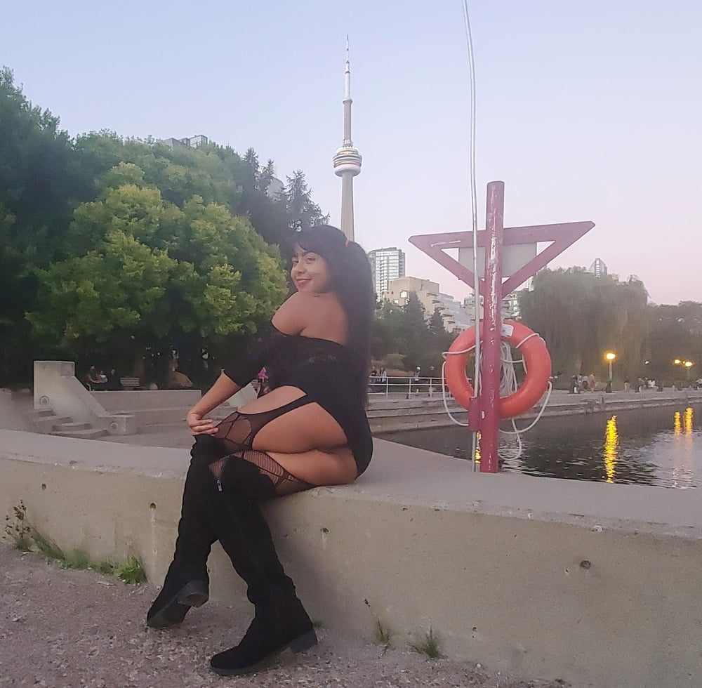 最近の写真
 #106621456