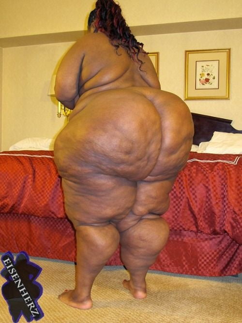 Fat Black Asses #91020035