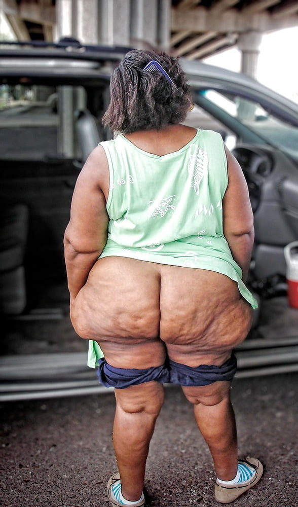 Fat Black Asses #91020047