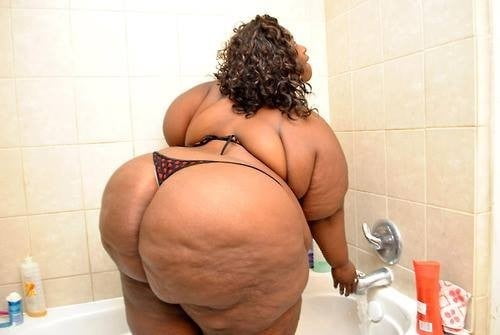 Fat Black Asses #91020094