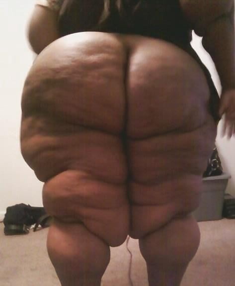 Fat Black Asses #91020171