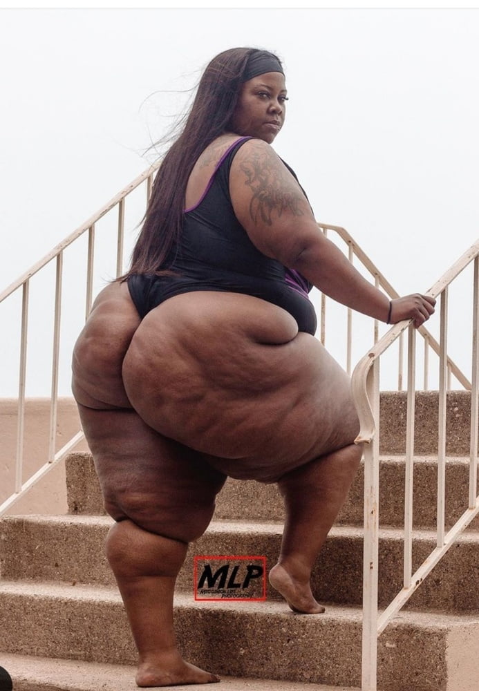 Fat Black Asses #91020253