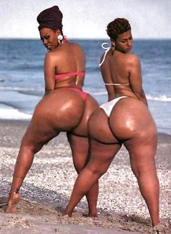 Fat Black Asses #91020277