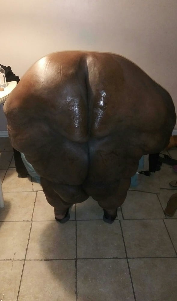 Fat Black Asses #91020445