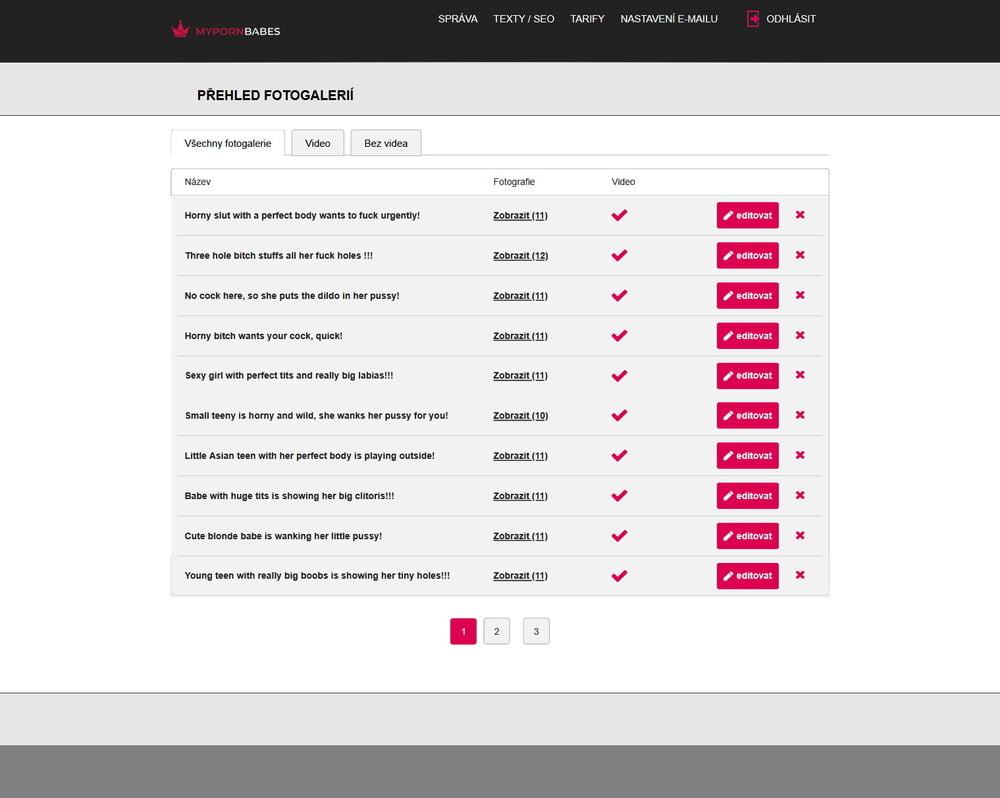 Easy porn tube system - Personal website #107219836