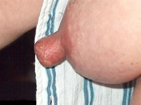 Leckere Zitzen
 #81011790