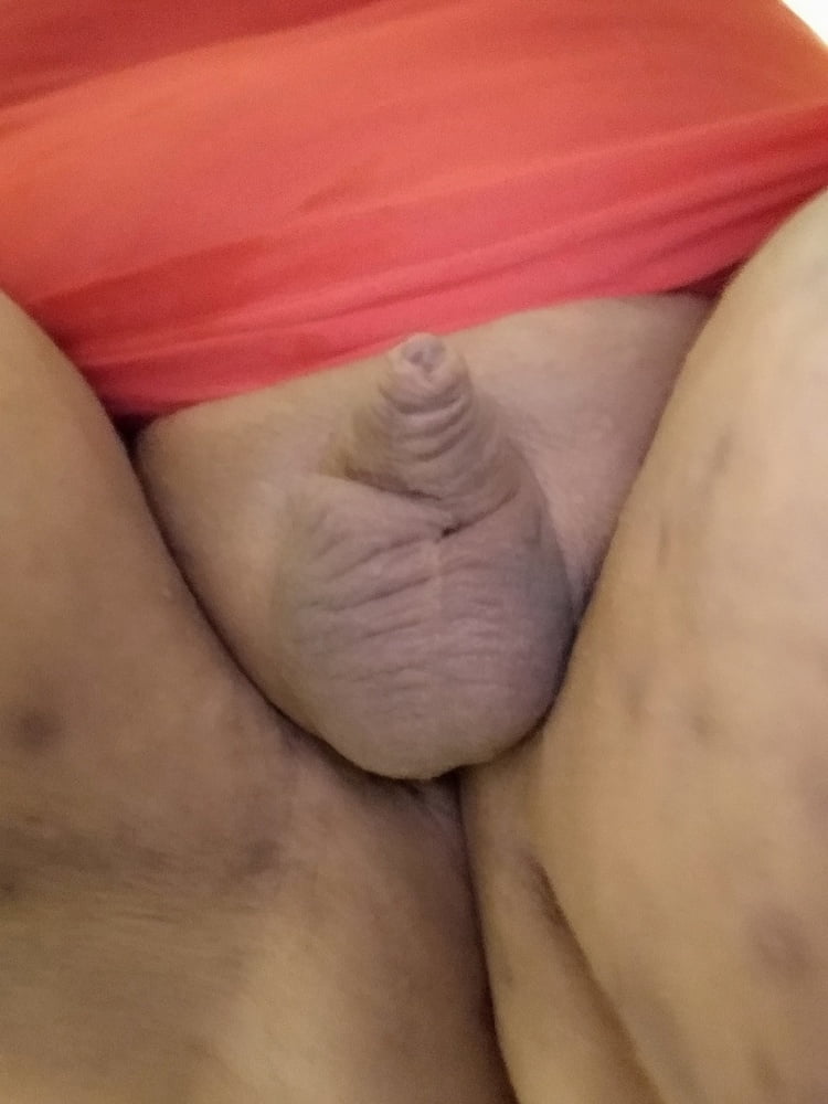 Fat Sissy Pig Dani 2019 #107129244