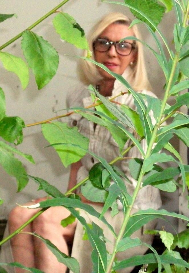 マチュアミックス85
 #90232114