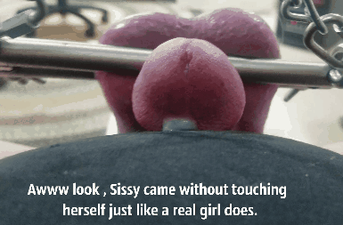 Sissy gif memes #107219331