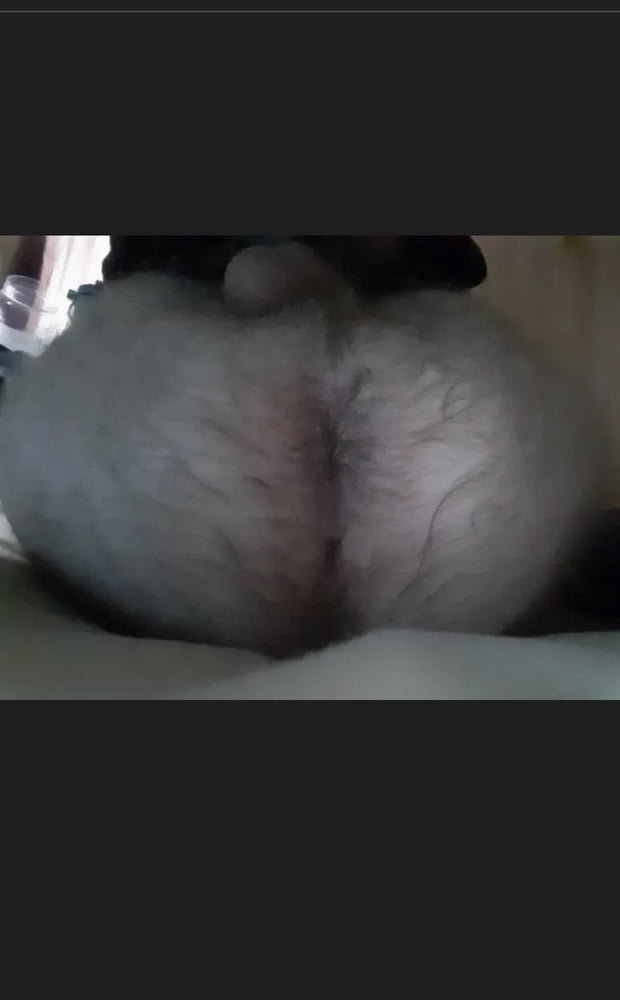 オンラインチャーター
 #98142452